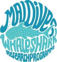 Load image into Gallery viewer, Original Whale Shark